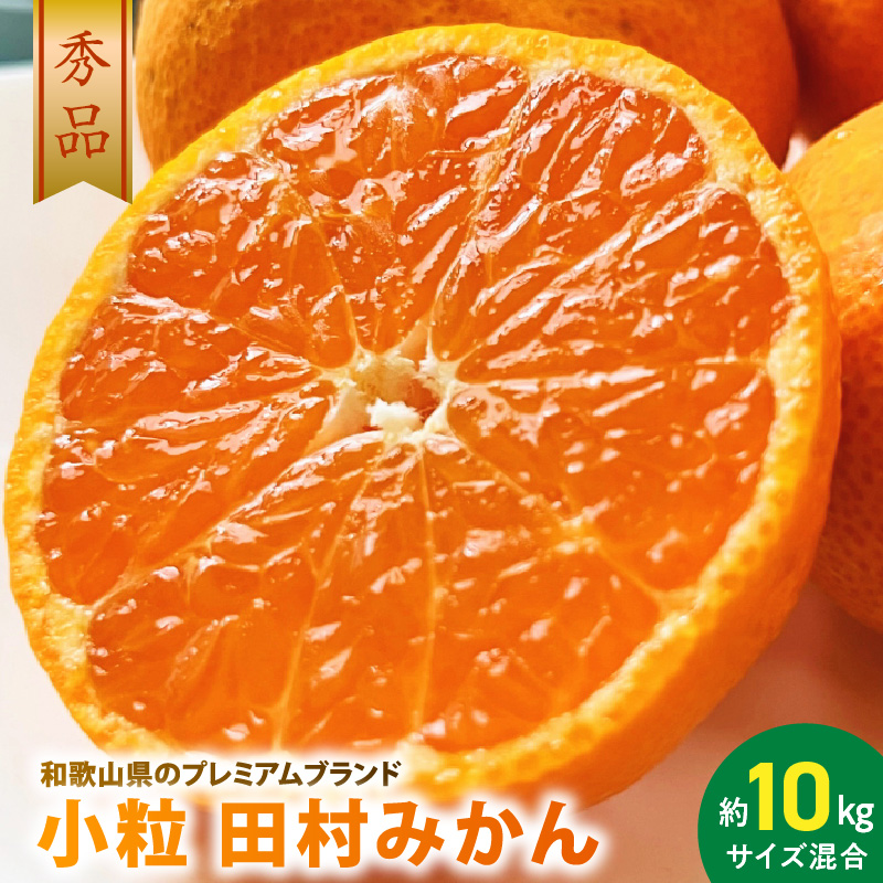 ya̎RLcS󒬁zAB7310_ c݂ 2SE3STCY Gi 10kg _ a̎Rv~Auh݂    ~J t[c ʕ Mtg Ε