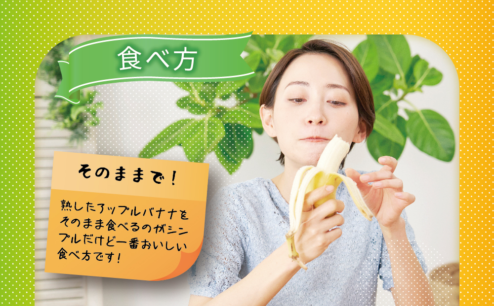 うるま市産アップルバナナ（約1.5kg前後）（沖縄県うるま市
