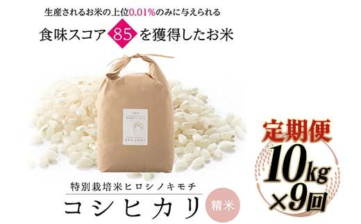 ≪先行予約≫【9回定期】特別栽培米 コシヒカリ ヒロシノキモチ 精米 10kg 総計90kg ブランド米 銘柄米 国産 お米 日本米 ギフト 贈り物 備蓄 防災 陽咲玲 はるざれ F6T-886