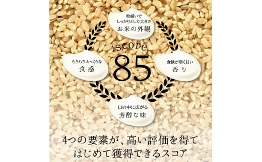 【6回定期】特別栽培米 コシヒカリ ヒロシノキモチ 精米 10kg 総計60kg ブランド米 銘柄米 国産 米 お米 日本米 ギフト 贈り物 備蓄 防災 食品 陽咲玲 はるざれ F6T-626