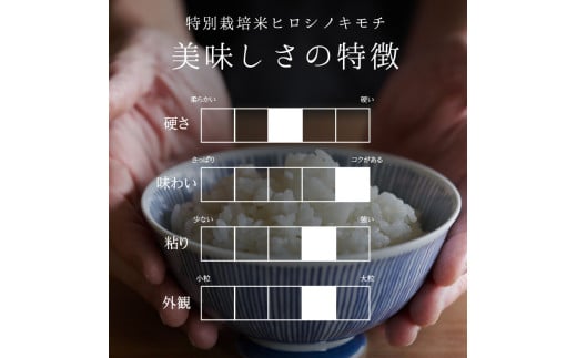 【6回定期】特別栽培米 コシヒカリ ヒロシノキモチ 精米 10kg 総計60kg ブランド米 銘柄米 国産 米 お米 日本米 ギフト 贈り物 備蓄 防災 食品 陽咲玲 はるざれ F6T-626
