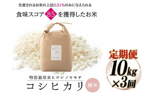≪先行予約≫【3回定期】特別栽培米 コシヒカリ ヒロシノキモチ 精米 10kg 総計30kg ブランド米 銘柄米 国産 お米 日本米 ギフト 贈り物 備蓄 防災 陽咲玲 はるざれ F6T-884