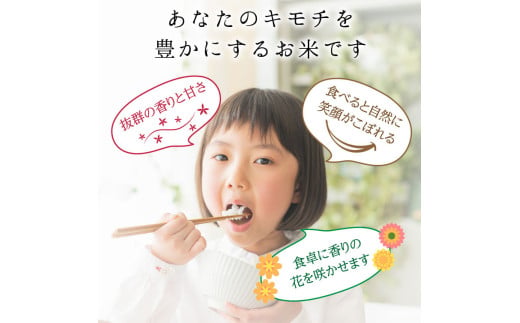 ≪先行予約≫【6回定期】特別栽培米 コシヒカリ ヒロシノキモチ 精米 5kg 総計30kg ブランド米 銘柄米 国産 お米 日本米 ギフト 贈り物 備蓄 防災 陽咲玲 はるざれ F6T-882