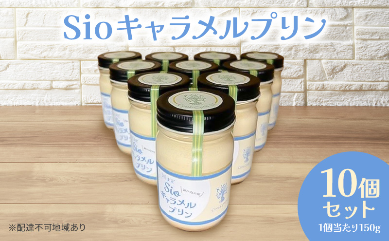 yR˓szSio Lv 150g×10p Zbg v XC[c fU[g R ˓s