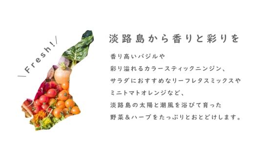【定期便】彩り野菜と香るハーブセット　３回お届けセット　[野菜セット 野菜詰め合わせ]
