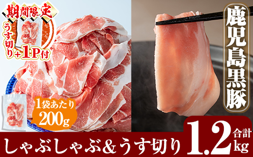 A-177-S 《セゾン限定》＜年内発送＞