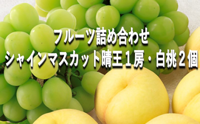桃 ぶどう 【2026年 早期受付】 フルーツ詰め合わせ シャイン