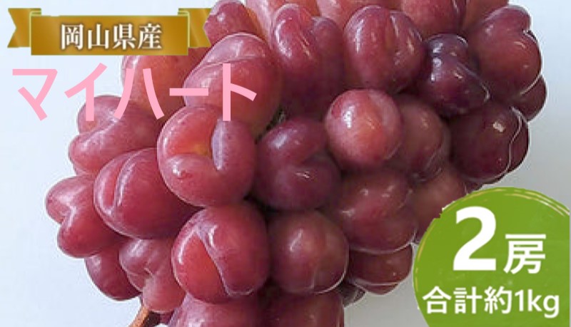 yRʖszԂǂ y2026N tz }Cn[g 2[ v1kg uhE  RY Y t[c ʕ Mtg