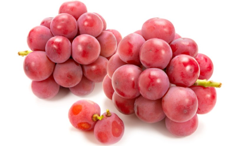 ぶどう 【2026年 早期受付】 ぶどうセット シャインマスカット 1房 ・ クイーンニーナ 1房（合計約1kg） ブドウ 葡萄 岡山県産 国産 フルーツ 果物 ギフト