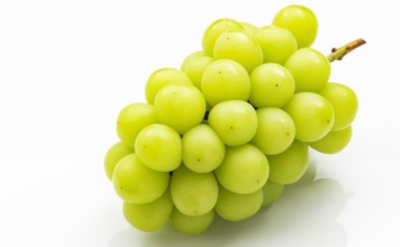 桃 ぶどう 【2026年 早期受付】 フルーツ詰め合わせ シャインマスカット 晴王 1房 ・ 白桃 2個 もも ブドウ 葡萄 岡山県産 国産 フルーツ 果物 ギフト