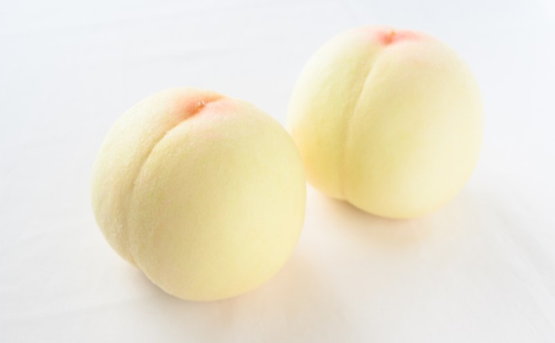 桃 ぶどう 【2026年 早期受付】 フルーツ詰め合わせ シャインマスカット 晴王 1房 ・ 白桃 2個 もも ブドウ 葡萄 岡山県産 国産 フルーツ 果物 ギフト