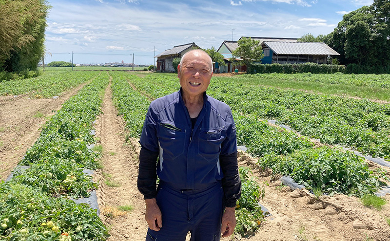 米 令和7年産 宮城県産 ひとめぼれ 5kg お米 精米