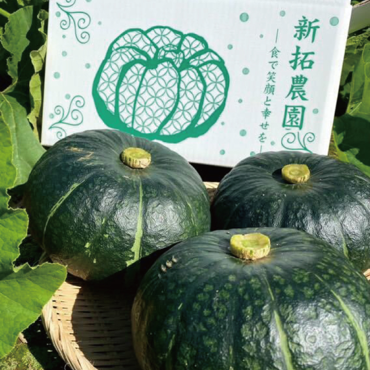 【数量限定】新拓農園のこだわり冬至かぼちゃSセット 【野菜 やさい カボチャ 1万円以内 10000円以内 ほくほく 甘い おいしい パンプキン 国産 産地直送 期間限定 季節限定 茨城県 鹿嶋市】（KDC-3）
