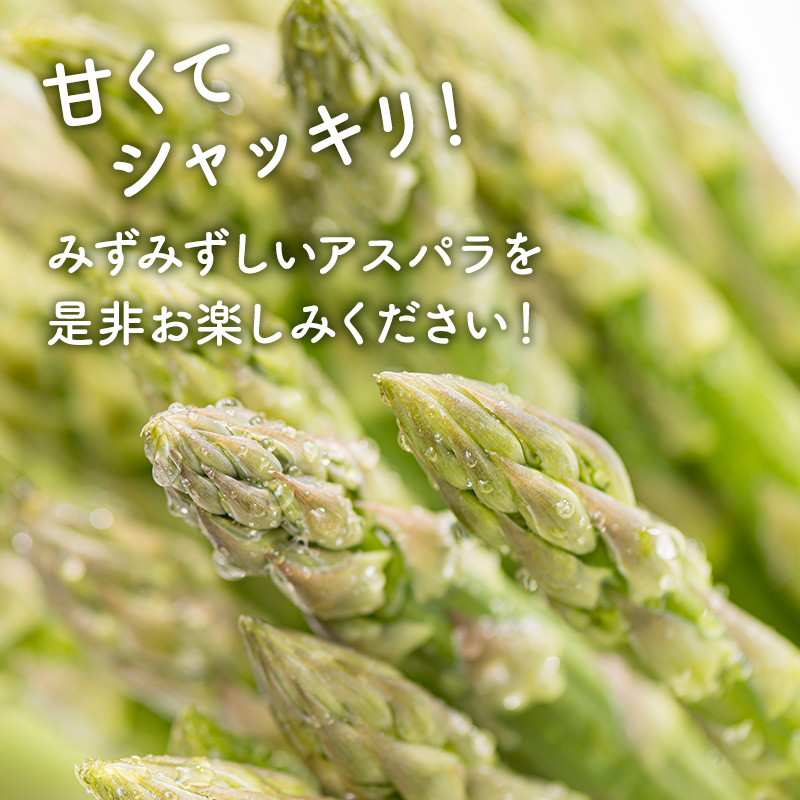 【2026年春配送】北海道南富良野町 アスパラ 1kg MLサイズ 混合 トマト農家 鳥羽農園の作る 新鮮 野菜 産地直送 甘い ジューシー ふるさと納税 送料無料