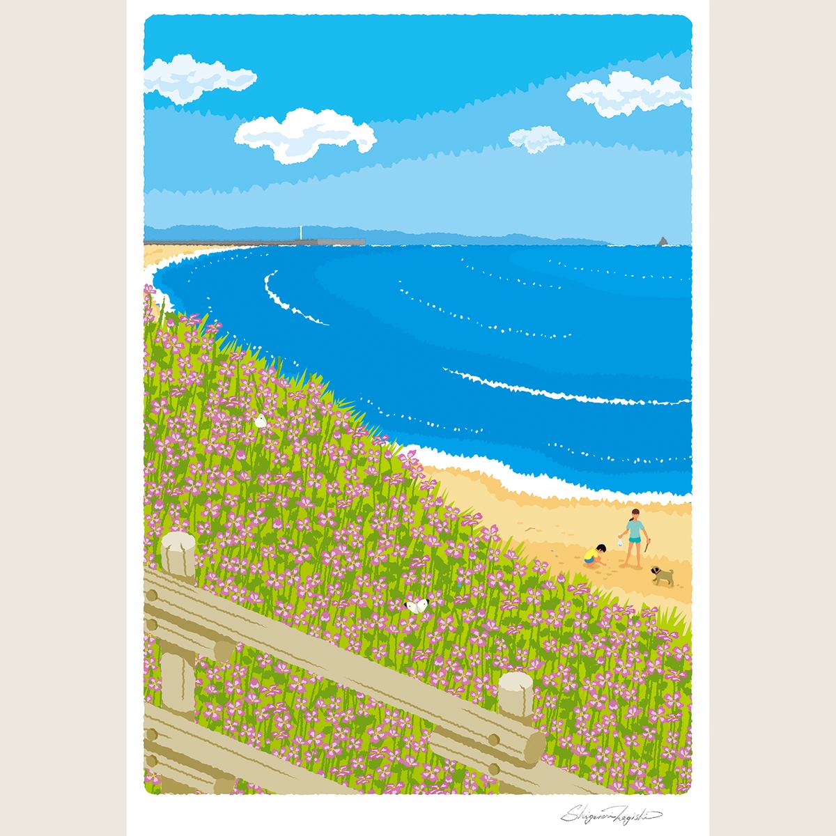 湘南・茅ヶ崎で描く、海を感じるイラストアート 『 湘南ランドスケープ08：海辺のハマダイコン 』 ジークレーアートフレーム （小） /絵画　風景　版画