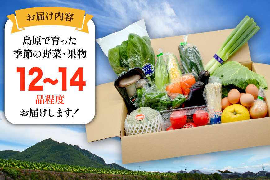 長崎県島原市のふるさと納税 BF057 【3回定期便】旬の野菜・フルーツ (12〜14品目)・卵 (6個) おまかせ セット【 野菜 果物 卵 やさい くだもの 果物 タマゴ たまご 詰め合わせ 江戸屋 長崎県 島原市 】