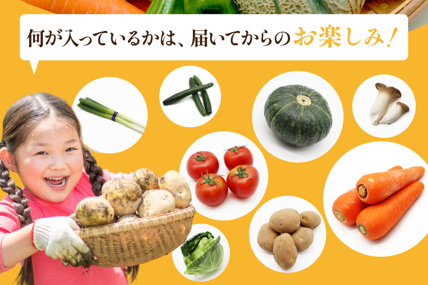 長崎県島原市のふるさと納税 BF058 【6回定期便】旬の野菜・フルーツ (12〜14品目)・卵 (6個) おまかせ セット【 野菜 果物 卵 やさい くだもの 果物 タマゴ たまご 詰め合わせ 江戸屋 長崎県 島原市 】