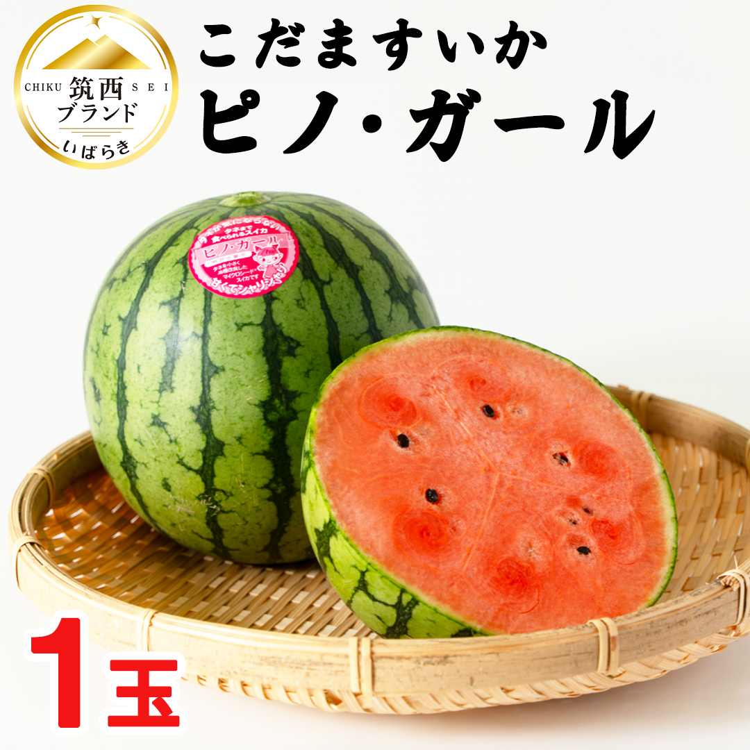 こだますいか 「 ピノ・ガール 」 1玉 2026年産 先行予約 筑西