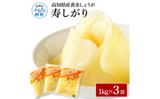 [CF-R5tka]SNS005 国産黄金しょうが寿しがり1kg×3袋 - ガリ しょうが ショウガ 生姜 坂田信夫商店 黄金しょうが 国産 お寿司 付け合せ 寿司用がり ふるさとのうぜい 故郷納税 15000円 返礼品 高知