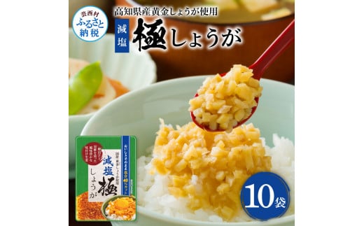 [CF-R5tka]SNS007 減塩味付け極しょうが110g×10袋 - 減塩 しょうが ショウガ 生姜 生ふりかけ 坂田信夫商店 黄金しょうが 高知 国産 料理 おかず 調味料 ご飯のお供 混ぜご飯 刻み生姜 健康 話題