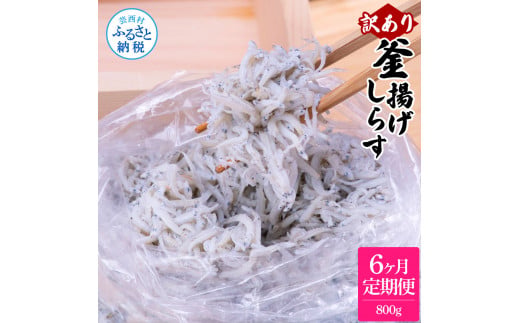 [CF-R5tka]t201mmk [6ヶ月定期便]訳あり 釜揚げシラス 800g 定期便 定期コース 6ヶ月 しらす シラス 釜揚げ 新鮮 塩分控えめ 離乳食 わけあり ワケあり 不揃い しらす丼 海鮮丼 お茶漬け