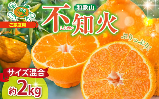 【和歌山県有田郡湯浅町】ZJ6071_【2026年先行予約】不知火(しらぬい) オレンジ みかん 2kg 訳あり ご家庭用 サイズ混合