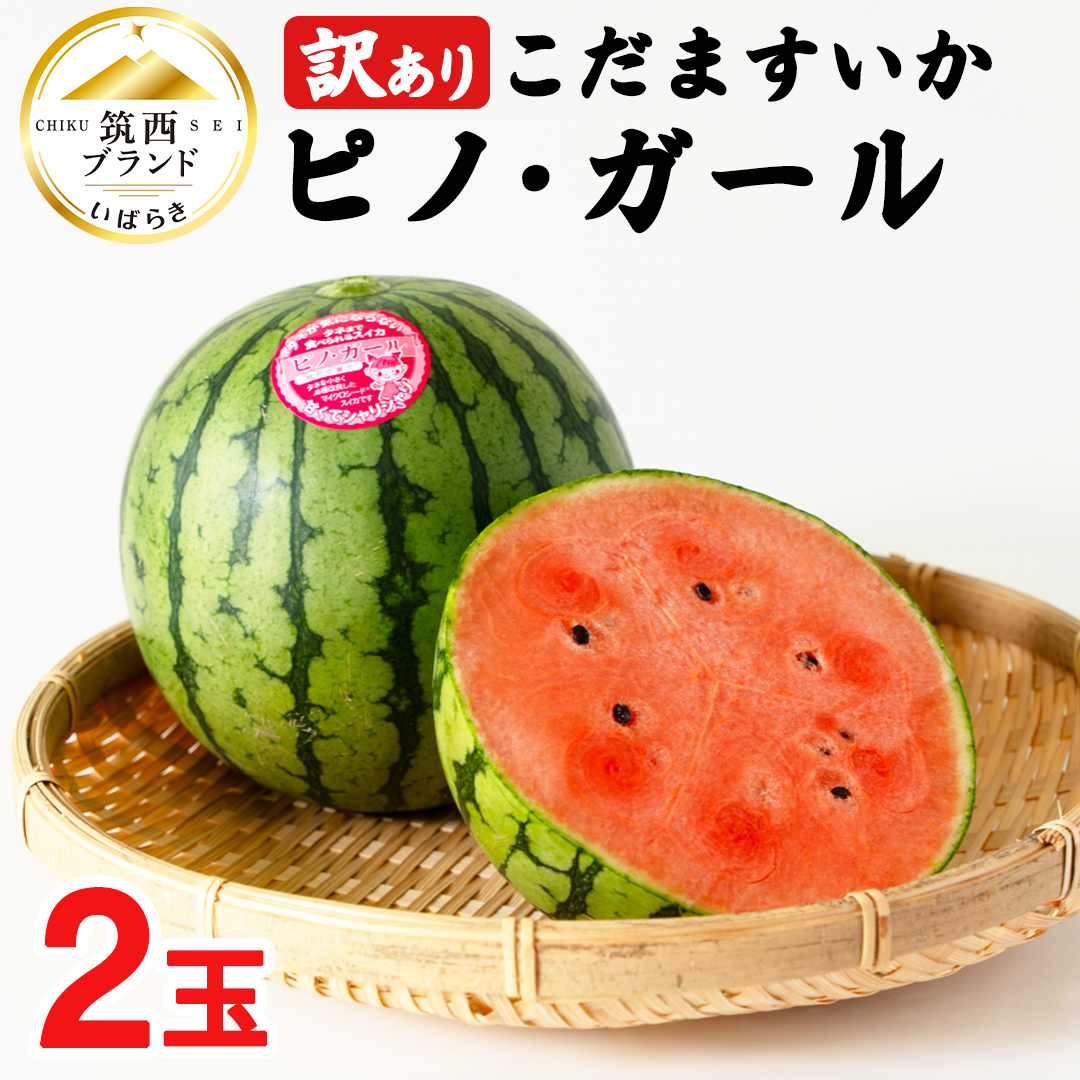 【 訳あり 】 こだますいか 「 ピノ・ガ