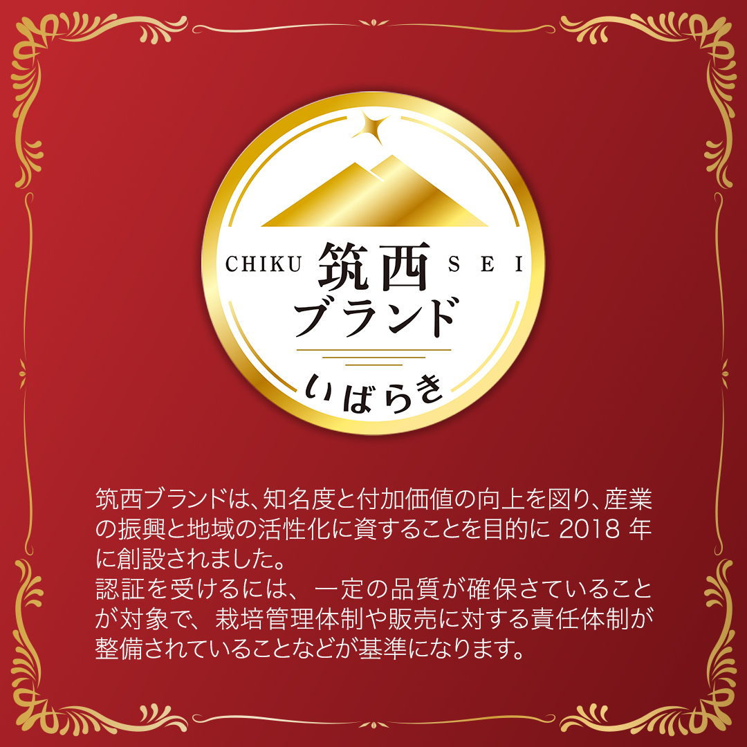 茨城県筑西市のふるさと納税 【 訳あり 】 こだますいか 「 ピノ・ガール 」 2玉 2026年産 先行予約 筑西ブランド こだまスイカ 小玉スイカ すいか スイカ フルーツ 果物 [AF081ci]