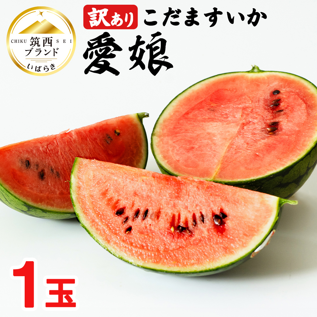 茨城県筑西市のふるさと納税 【 訳あり 】 こだますいか 「 愛娘 」 1玉 2026年産 先行予約 筑西ブランド こだまスイカ 小玉スイカ すいか スイカ フルーツ 果物 [AF083ci]