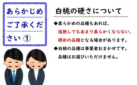 山形県南陽市のふるさと納税 【令和7年産先行予約】 《定期便3回》 桃三昧の楽園便 『フードシステムズ』 山形県 南陽市 [2257-R7]