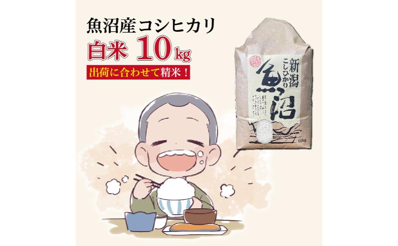 令和7年産新米 魚沼産コシヒカリ【精米】10kg