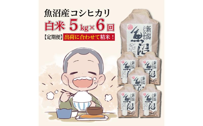 【6カ月定期便】令和７年産新米 魚沼産コシヒカリ 精米 5kg×6回 計30kg