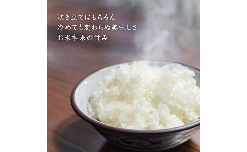 【6カ月定期便】令和７年産新米 魚沼産コシヒカリ 精米 5kg×6回 計30kg