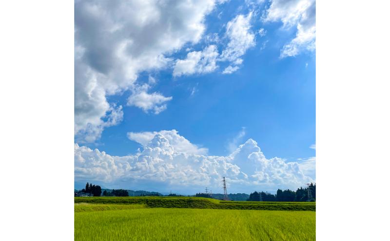 【6カ月定期便】令和７年産新米 魚沼産コシヒカリ 精米 5kg×6回 計30kg