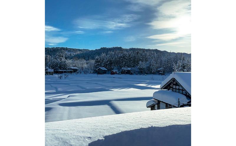 【6カ月定期便】令和７年産新米 魚沼産コシヒカリ 精米 5kg×6回 計30kg