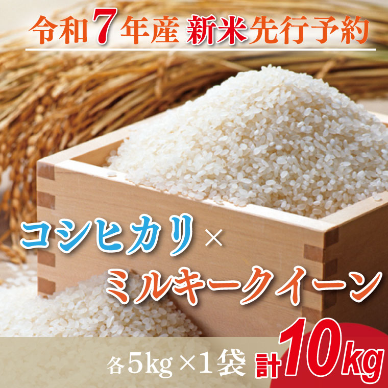 [2025年9月中旬より順次発送]★新米★R7年産 コシヒカリ 5kg+ミルキークイーン 5kg|米 お米 白米 精米 新米 R7年産 令和7年産 コシヒカリ こしひかり ミルキークイーン 食べ比べ 数量限定 茨城県 茨城県産 行方市(HA-21)