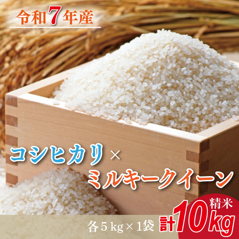 【数量限定】 令和7年産 米 コシヒカリ 5kg＋ミルキークイーン 5kg |お米 茨城県 行方市(HA-21)