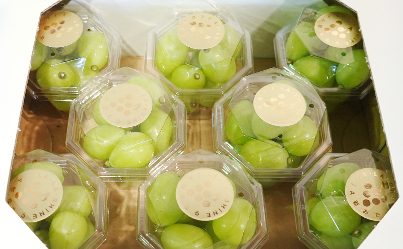 [先行受付] シャインマスカット『 LA・LA・SHINE （ ラ・ラ・シャイン ）』 180g×8パック 果物 くだもの フルーツ マスカット [JA新おたる]