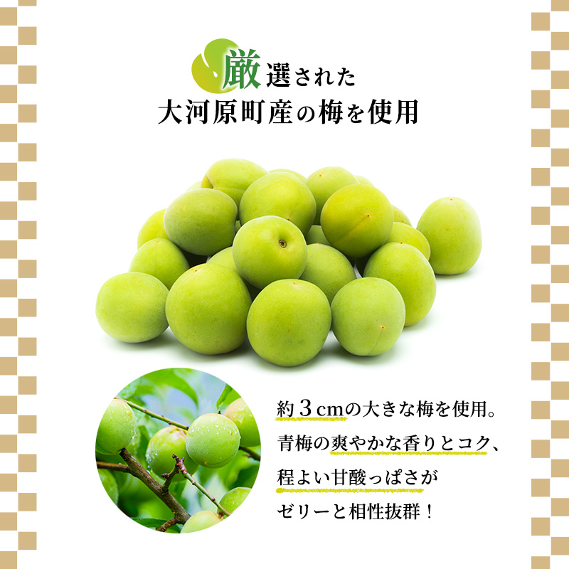 大河原の梅と清水のゼリー うめ果りり 10個入り 10,000円台おすすめ返礼品 お菓子 スイーツ 和スイーツ 梅の風味 梅ゼリー おやつ 食後 ひんやりスイーツ 涼 夏 さっぱり やさしい甘味 酸味 