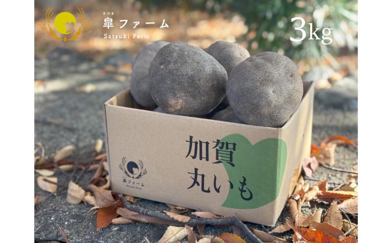 【石川県能美市】【先行予約】能美市特産品加賀丸いも 3kg