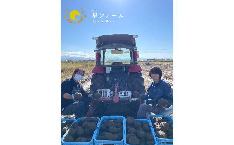 【先行予約】能美市特産品加賀丸いも 3kg 