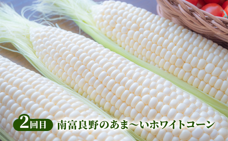 2026年発送 南富良野から贈る 人気野菜 3回お届け定期便 北海道 ふらの 南富良野 メロン とうもろこし じゃがいも 人参 玉ねぎ