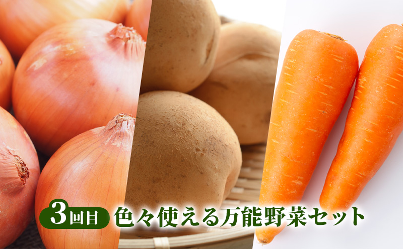 2026年発送 南富良野から贈る 人気野菜 3回お届け定期便 北海道 ふらの 南富良野 メロン とうもろこし じゃがいも 人参 玉ねぎ