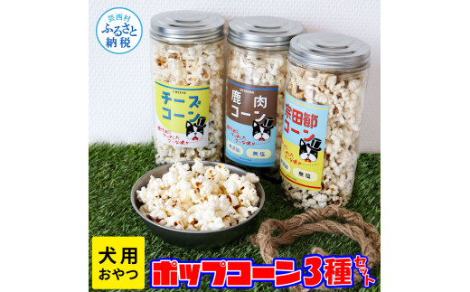 ym|zyCF-R5cbszp|bvR[ 3Zbg p |bvR[  `[Y @cߖ  wV[ 傳HׂɏՍރ|bvR[t |bvR[   p Y Y