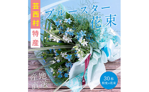 [CF-R5cbs]JJM002 [先行予約]芸西村特産ブルースター花束(約30本程度の花束)