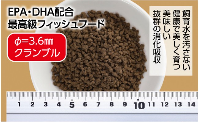 【CF-R5cbs】KGC022　Σシグマ GROW E クランブル 170g 中型海水魚用 ＜最高級 フィッシュフード EPA・DHA配合 クランブルタイプ 沈降性 魚 餌＞【餌 えさ エサ】【観賞魚 餌やり】【水槽/熱帯魚/観賞魚/飼育】【生体】【アクアリウム/あくありうむ】