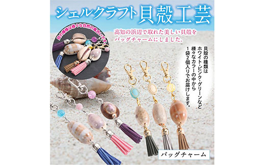 [CF-R5cbs]SCR001 緊急支援 バッグチャーム 2個 シェルクラフト 貝殻工芸 [高知の浜辺でとれた美しい貝殻のバッグチャーム]キーホルダー