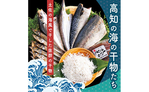 [CF-R5cbs]SST002 高知の海の干物たち[土佐の海風で干した抜群の干物を][高知市・南国市共通返礼品]