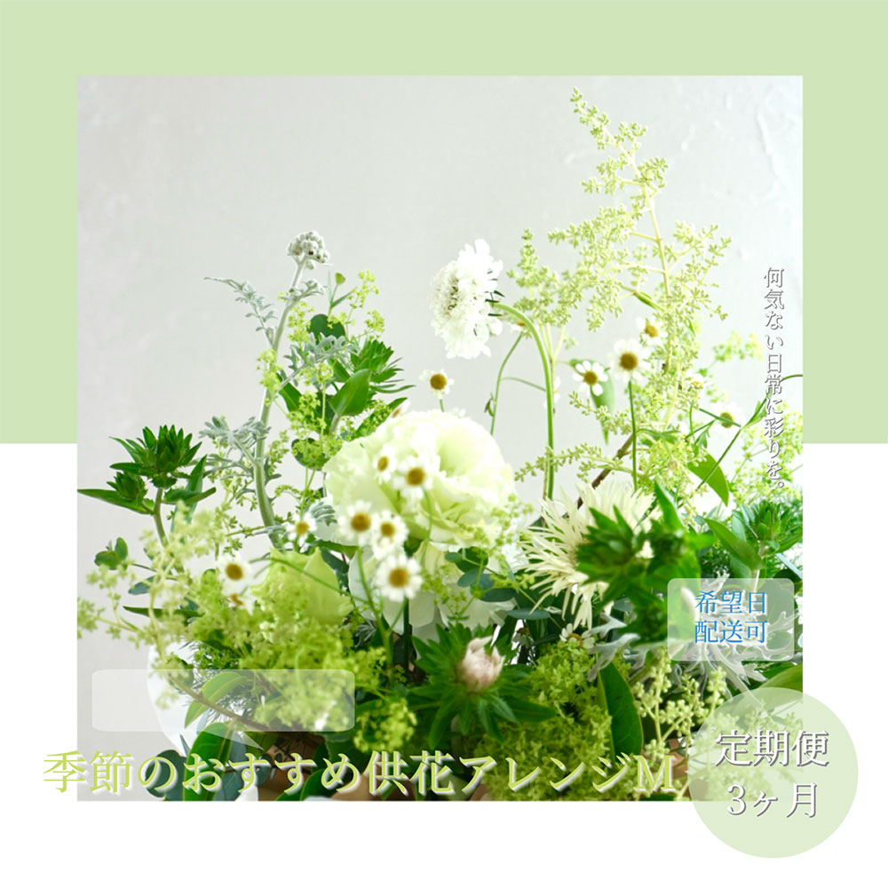【高知県芸西村】【CF-R5cbs】t172tmf 《3ヵ月定期便》生花アレンジ お供え 供花M 定期便 定期コース 全3回 フラワーアレンジメント そのまま飾れる お供え 花束 生花 仏花 供花 花束 はな 花 法要 お盆 季節のお花 供花 お供え