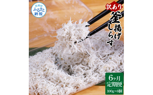 [CF-R5cbs]t189mmk [6ヶ月定期便]訳あり 釜揚げシラス 100g×6個 定期便 定期コース 6ヶ月 しらす シラス 釜揚げ 新鮮 塩分控えめ 離乳食 わけあり ワケあり 不揃い しらす丼 海鮮丼 お茶漬け